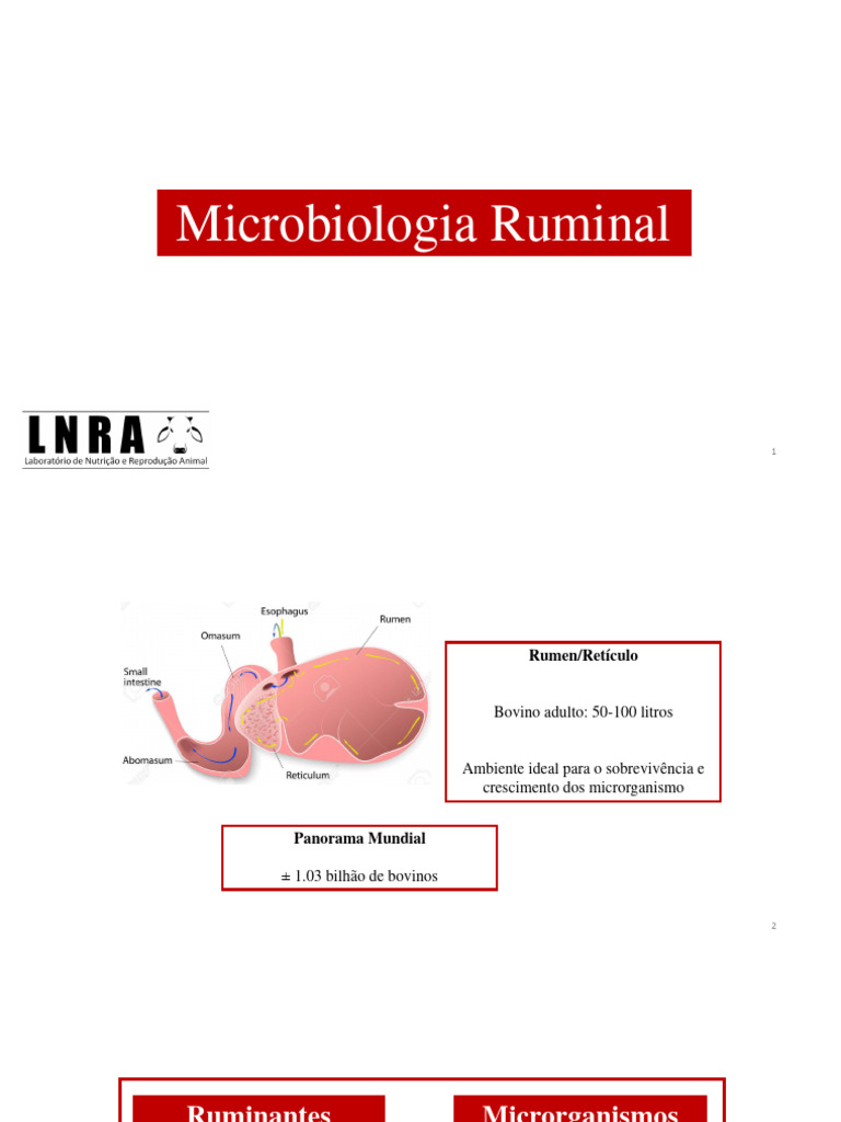 Microbiologia do Rúmen em Ruminantes | PDF | Bactérias | Biologia