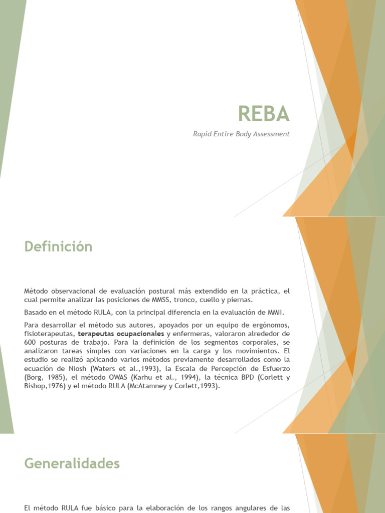 Reba PDF | Descargar gratis PDF | Medición