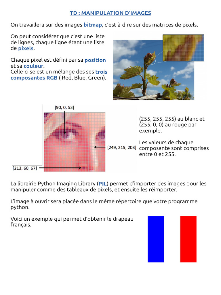 Manipulation d'images avec Python PIL | PDF | Modèle de couleur en RVB ...