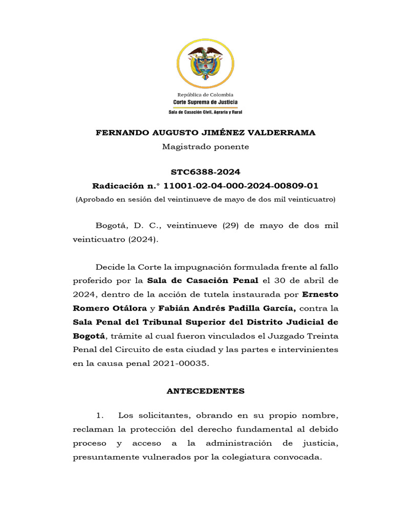 STC6388 2024 | PDF | Caso de ley | Sentencia (ley)