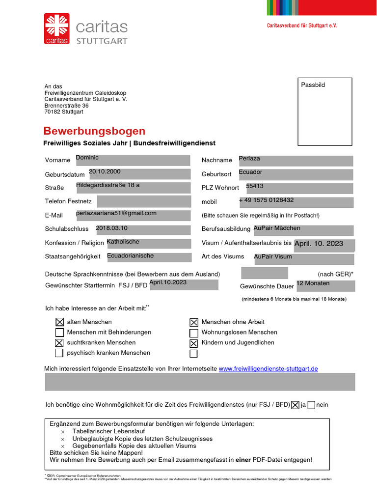 2022 FSJ BFD Bewerbungsbogen | PDF