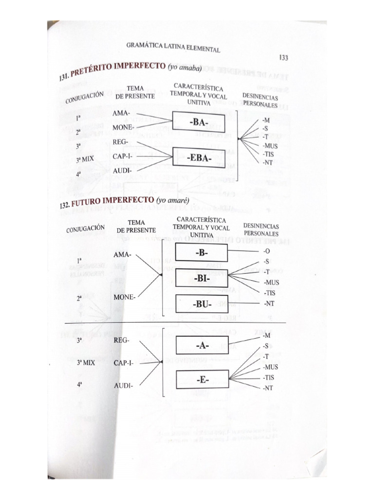 Gramática Latina Elemental Pdf