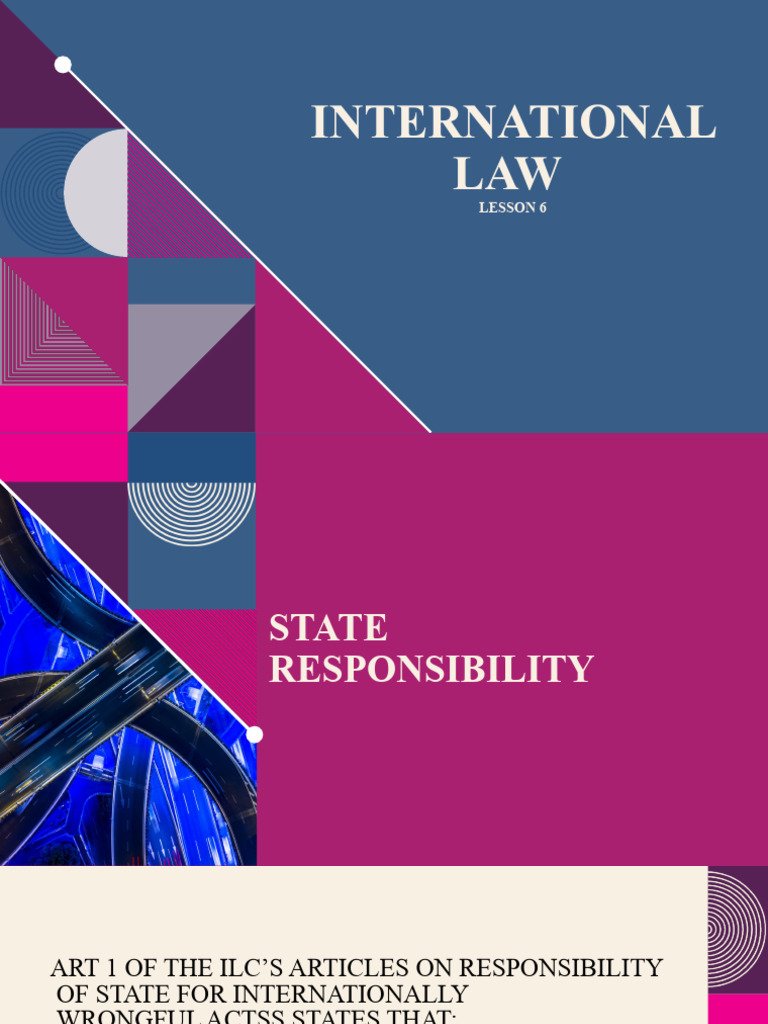 State Responsibility in International Law | PDF | Politics | Social Science