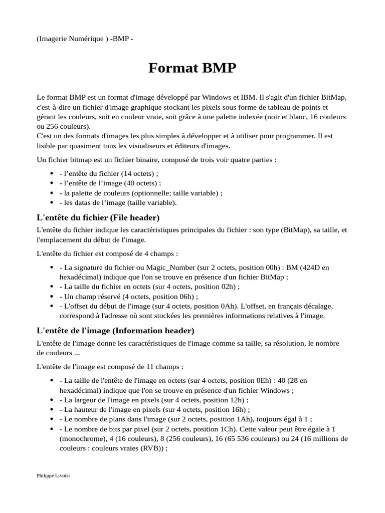 Comprendre le format BMP et ses entêtes | PDF | Image numérique ...