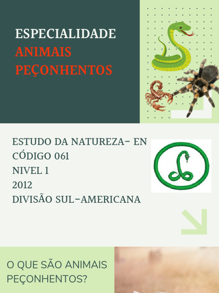 Especialidade Animais Peçonhentos | PDF | Serpente | Aranha
