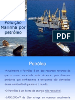 Poluição Marinha por petróleo2