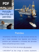 Poluição Marinha por petróleo2
