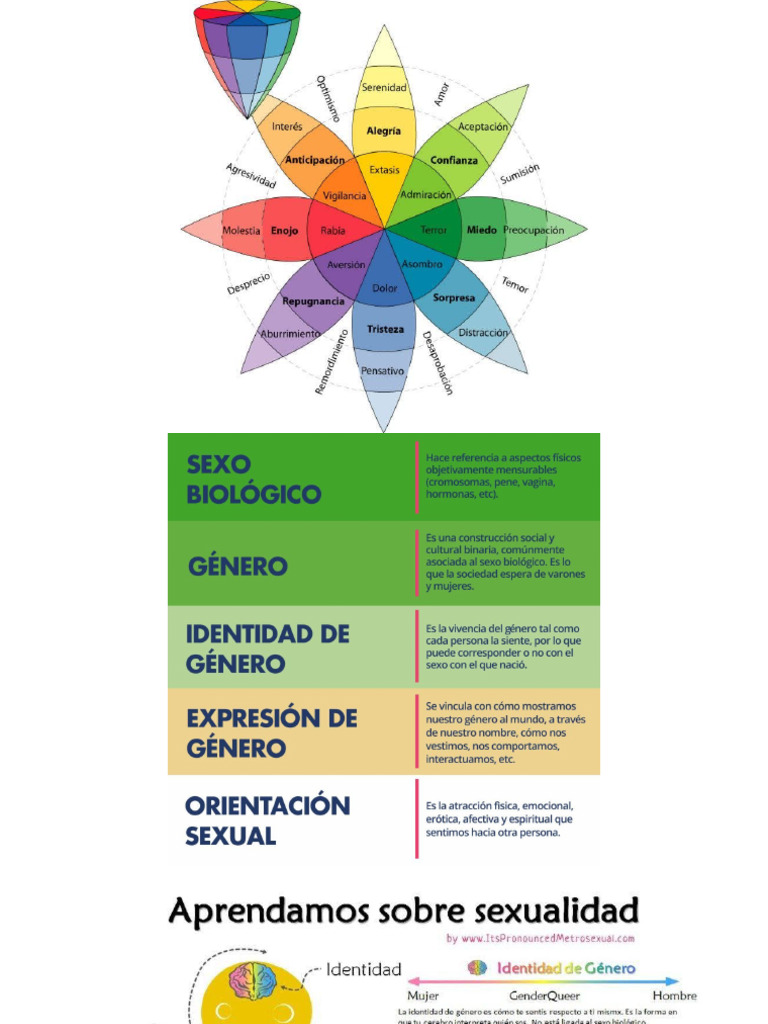 Igualdad Genero | PDF | Género | Estudios de género