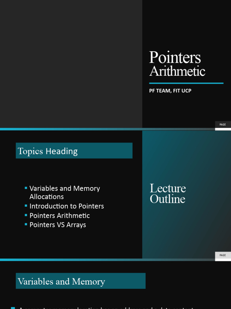 Understanding Pointers and Memory Management | PDF | Pointer (Computer ...