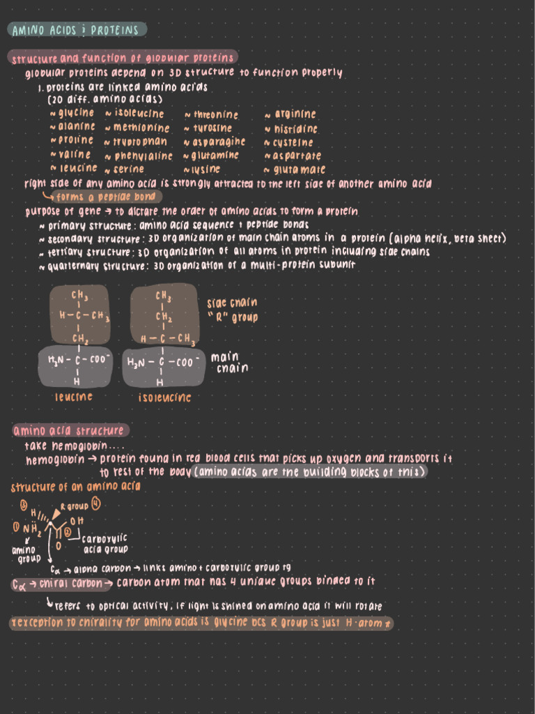 Khan Academy Foundation 1 Biomolecules 3 PDF Amino Acid Proteins