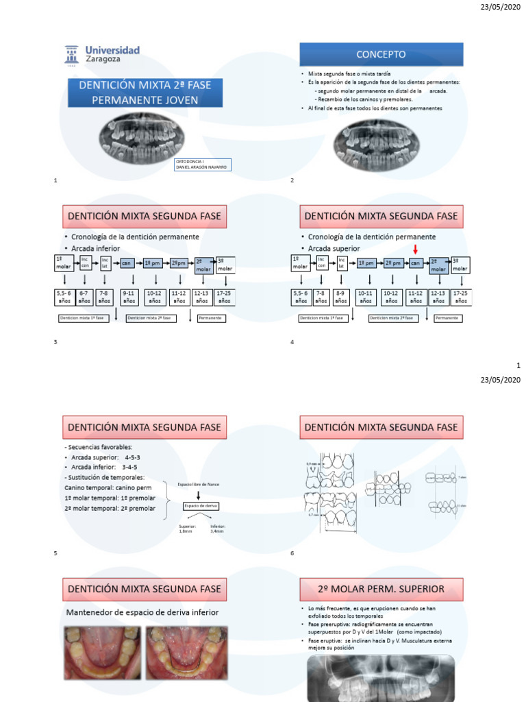 Dentición Mixta: Segunda Fase | PDF | Anatomia dental | Odontología