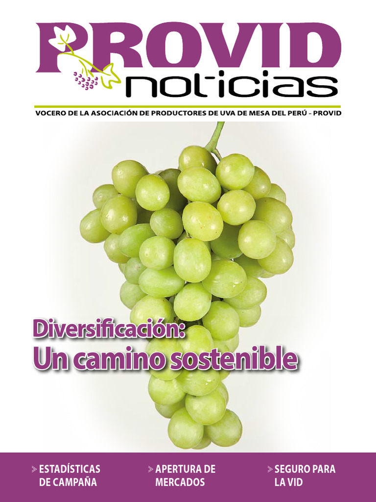 PROVID Suplemento | PDF | Arbitraje | Pagos