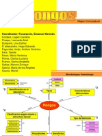 Mapamicrobiofinal 090314120909 Phpapp02