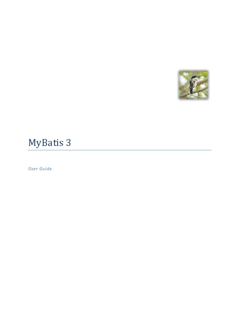 MyBatis 3 User Guide Overview | PDF | Method (Computer Programming ...