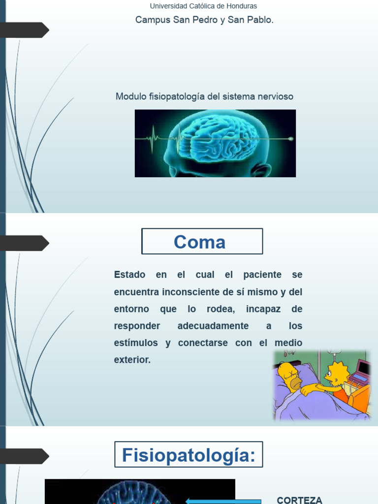Fisiopatologia SNC | PDF | Coma | Medicina