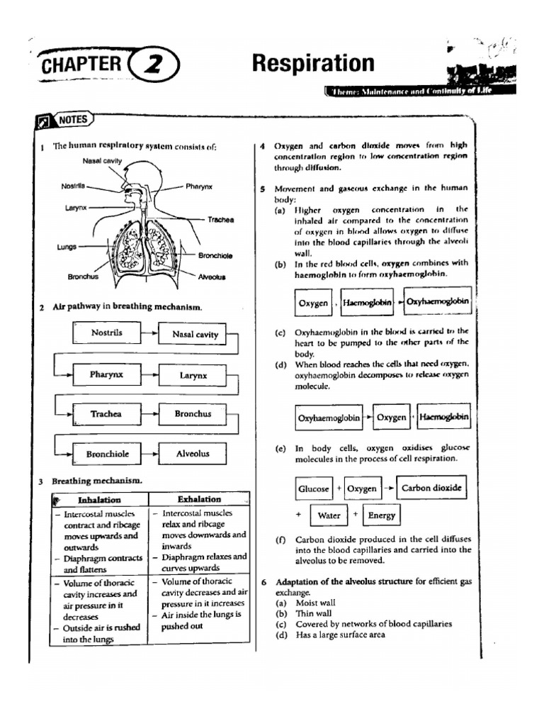 Form 3 chapter 2 revision pdf