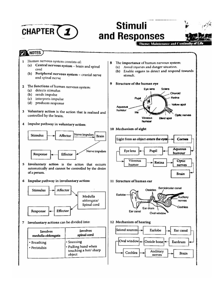 Form 3 Science Full Revision | PDF