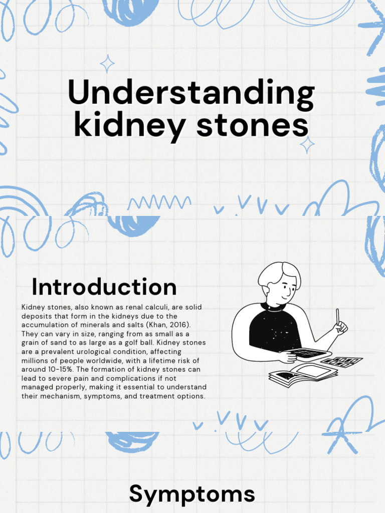 Understanding Kidney Stones | PDF | Kidney | Medical Specialties
