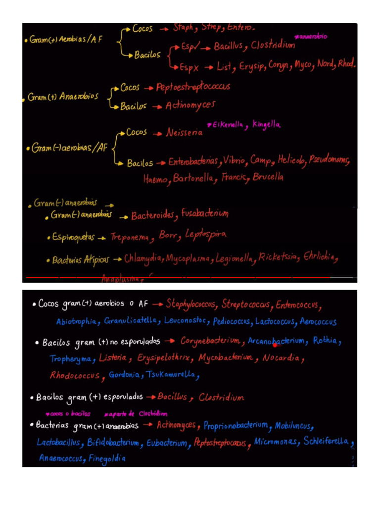 clasificacion bacterias | PDF
