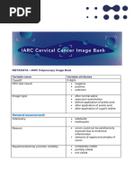 Cervical Transformation Zone Excision Types | PDF