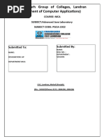 PDF Document