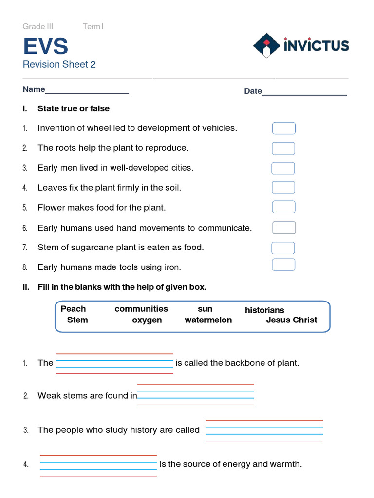 Grade III EVS Revision Sheet 2 | PDF | Plants | Leaf