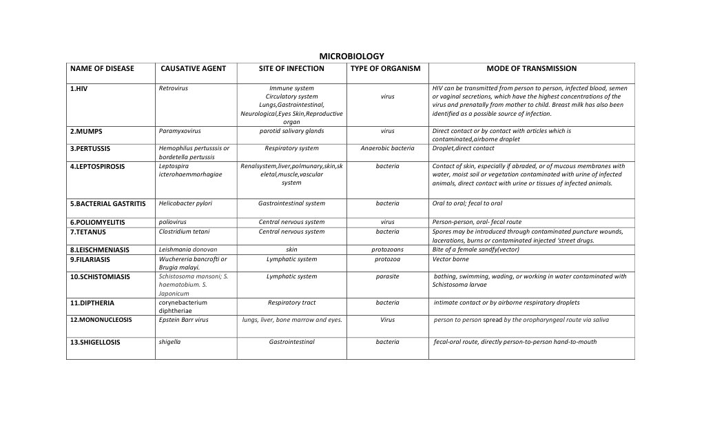 SEO Document Optimization Guide | PDF