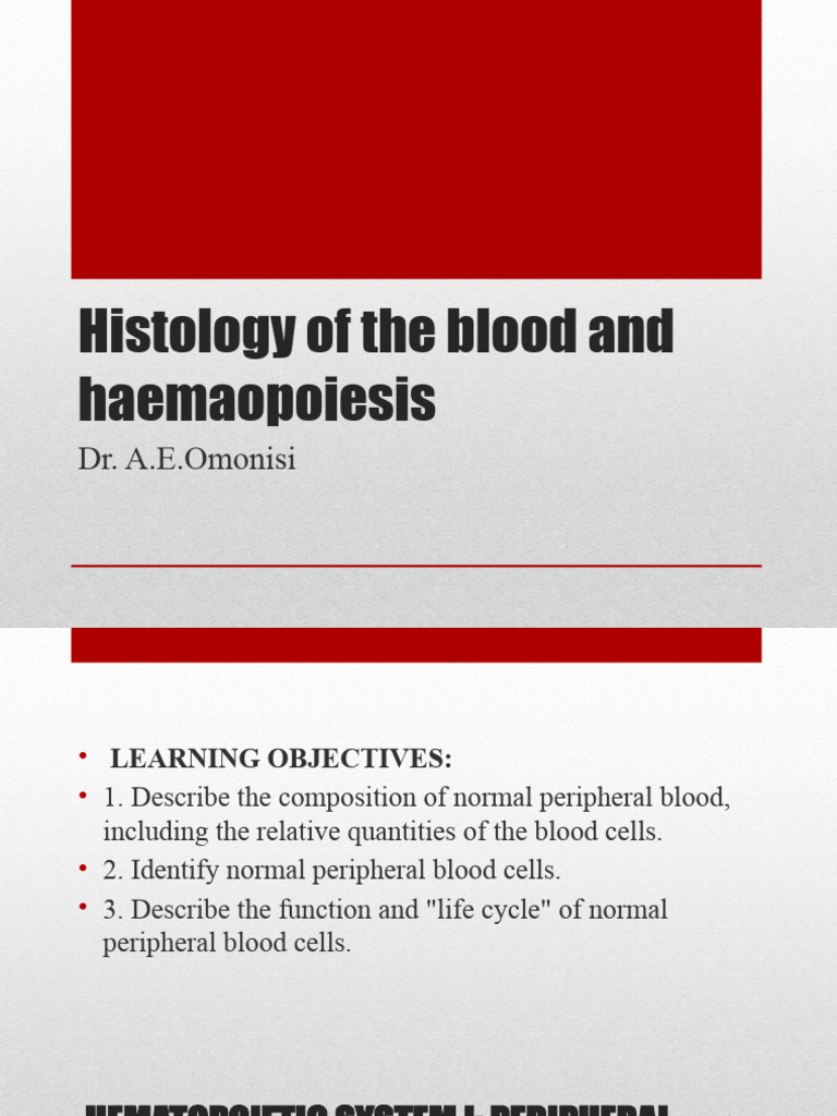 Blood Histology and Hematopoiesis Overview | PDF | White Blood Cell ...