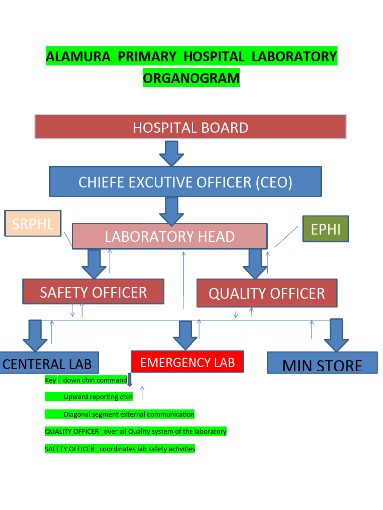Alamura Hospital Lab Structure | PDF | Wellness | Science & Mathematics