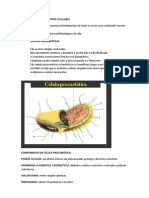 Prova de Biologia Geral