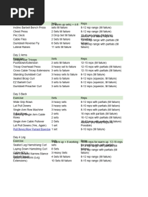 Sam Sulek Workout PDF