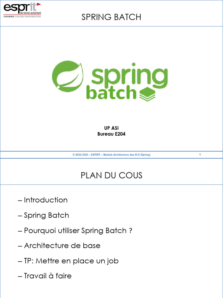 Introduction à Spring Batch | PDF | Bases de données | Informatique