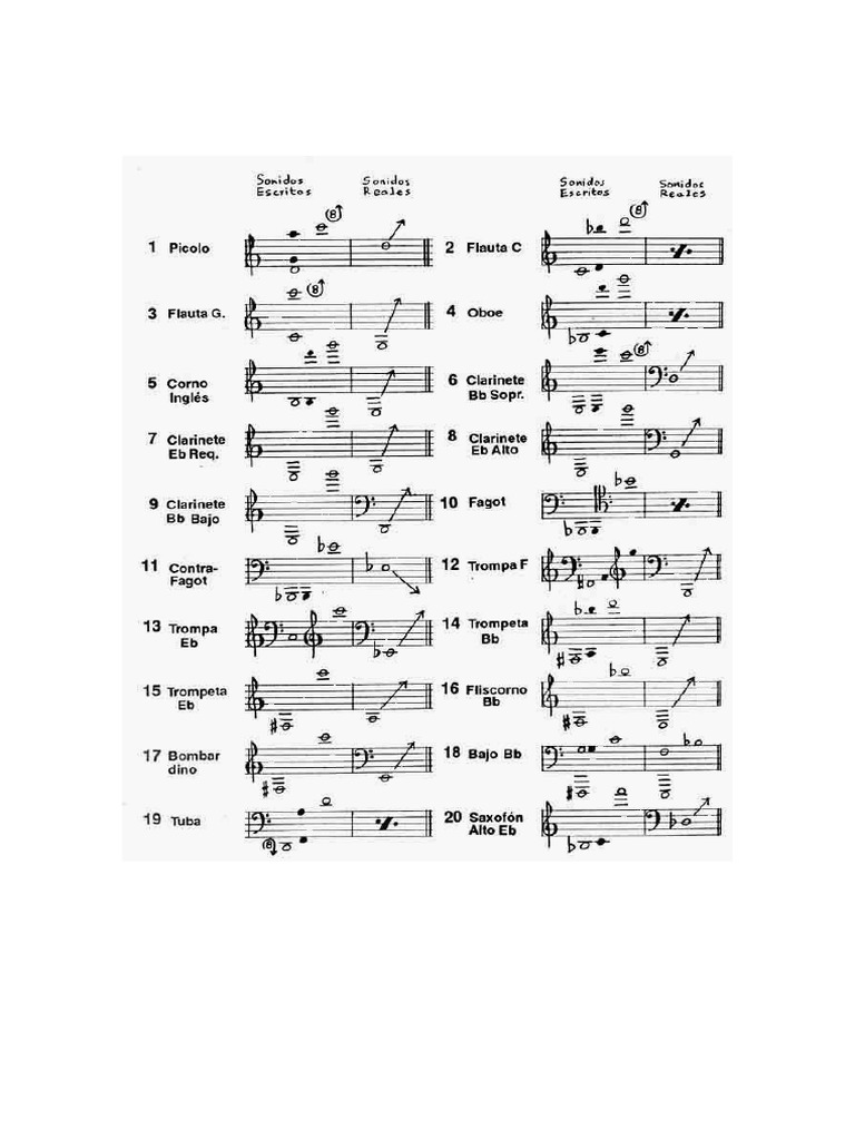 INSTRUMENTOS TRANSPOSITORES PDF