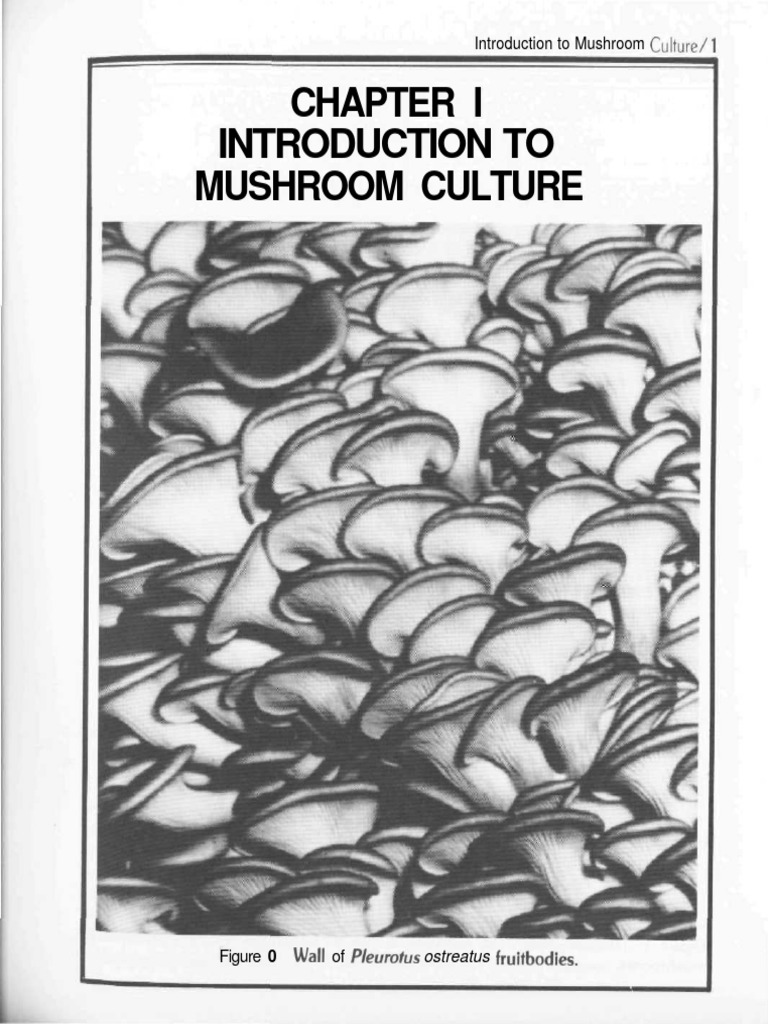 eBook - Mushrooms - The Mushroom Cultivator | PDF | Mushroom | Fungus