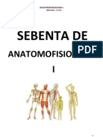 30803862 AnatomoFisiologia Sistema Esqueletico Muscular e Nervoso[1]