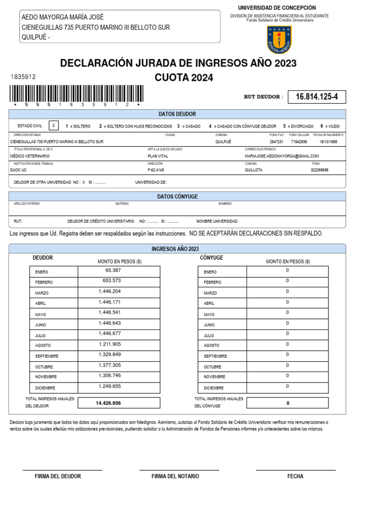 Declaración Jurada de Ingresos 2023 | PDF | Distribución de ingresos ...