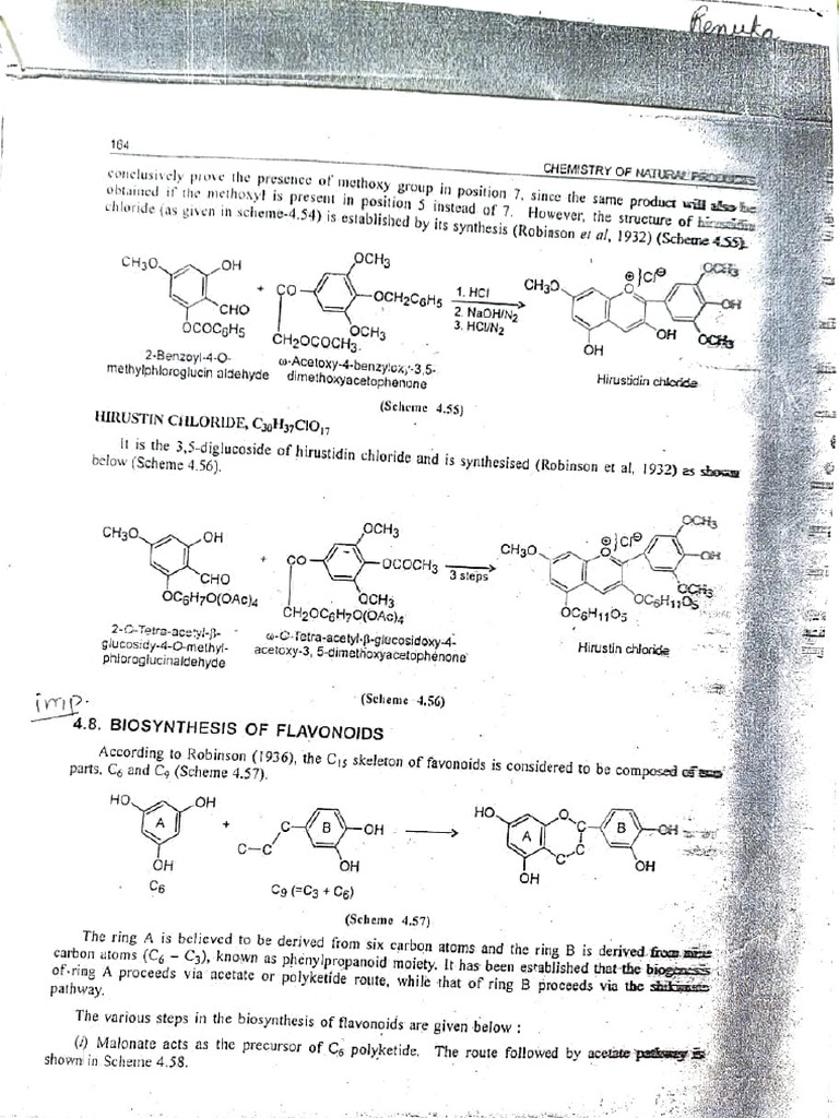 Hirustin Chloride and Flavonoid Biosynthesis | PDF | Biochemistry ...