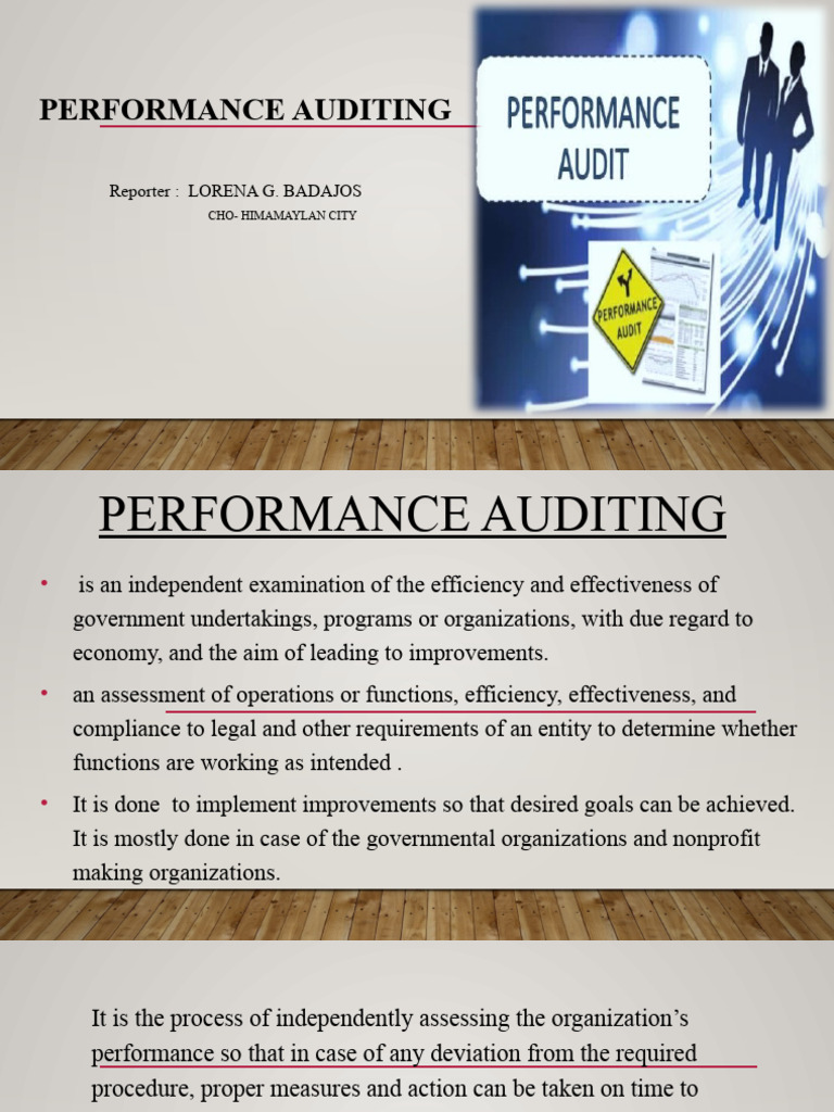 Performance Auditing Report | PDF | Program Evaluation | Audit