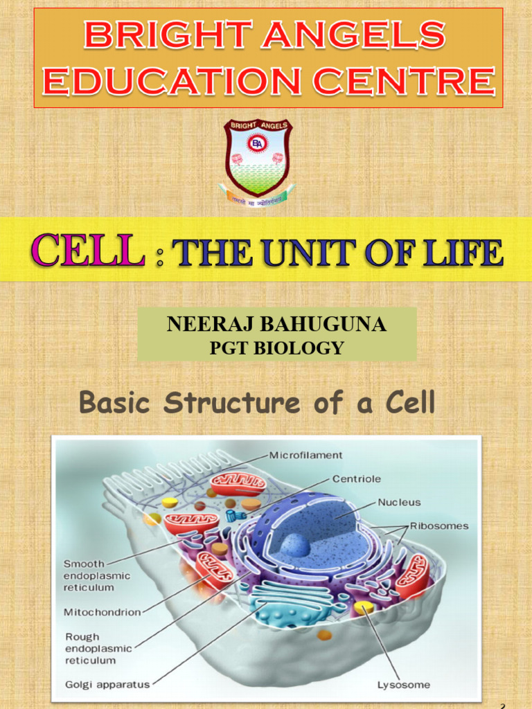 Overview of Cell Theory and Structure | PDF | Endoplasmic Reticulum ...