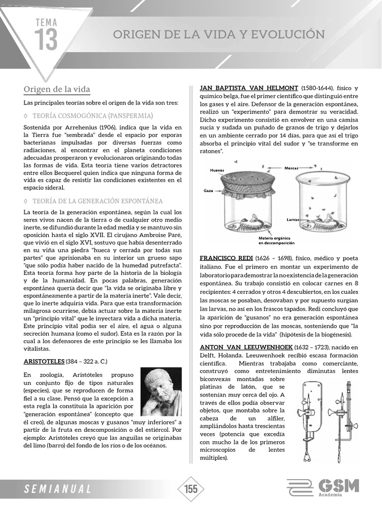 Teorías sobre el Origen de la Vida | PDF | Evolución | Seleccion natural
