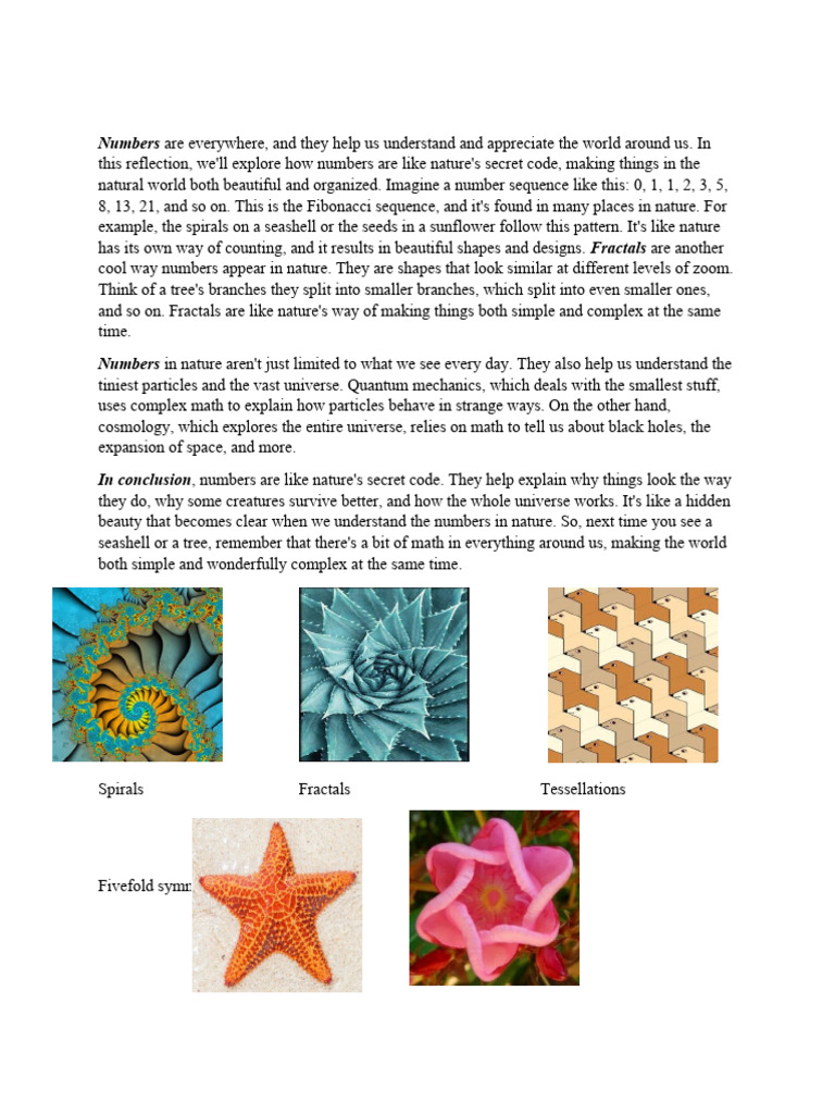 Numbers are everywhere pdf
