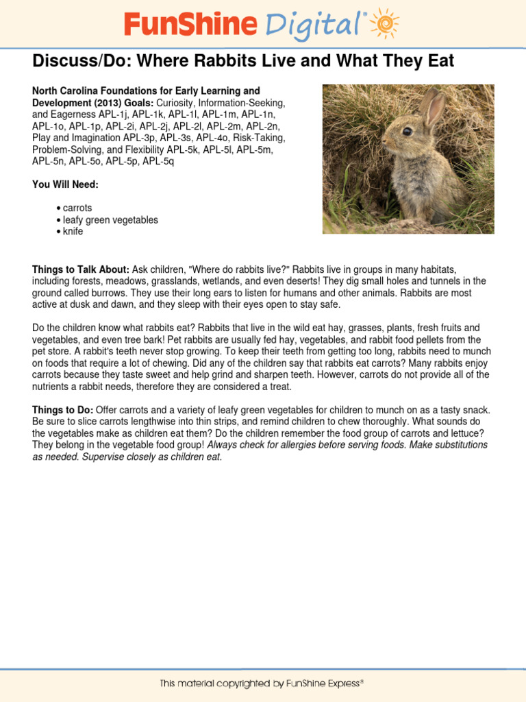 Rabbit Habitats and Diet for Kids | PDF