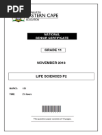 LFSC GR.11 Baseline Test Term 1 2025 | PDF | Cell (Biology) | Eukaryotes