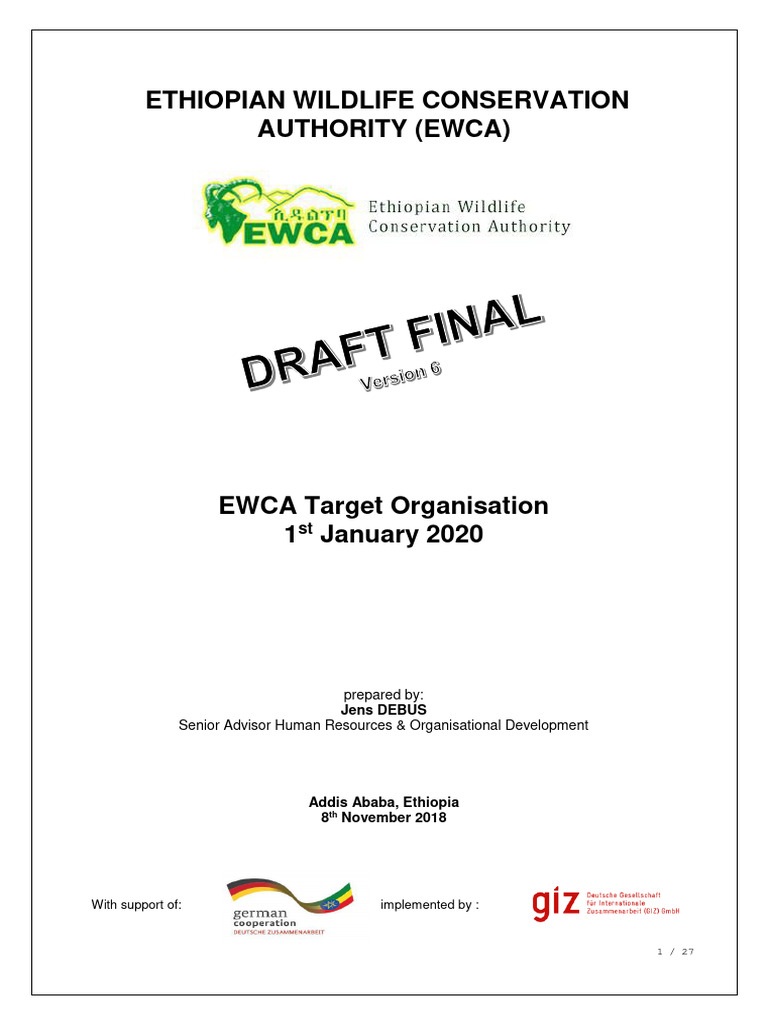 EWCA Target Organization Structure 2020 | PDF | Internal Audit | Business