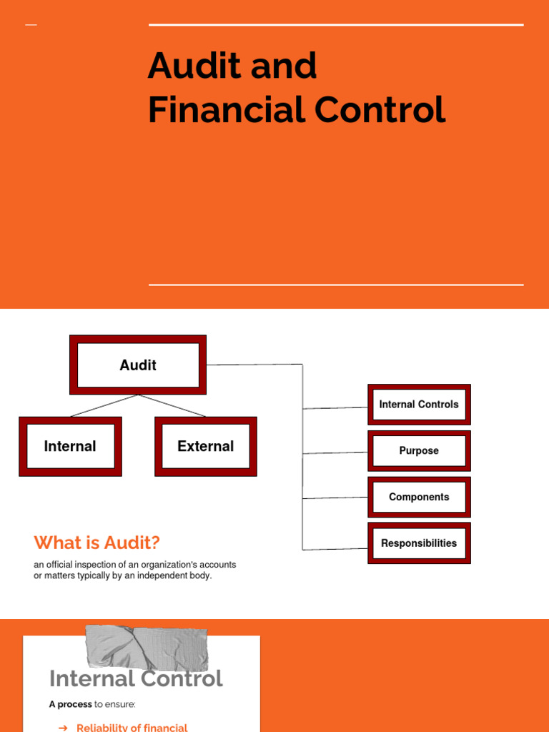 Internal Audit and Financial Control Guide | PDF | Internal Control | Audit