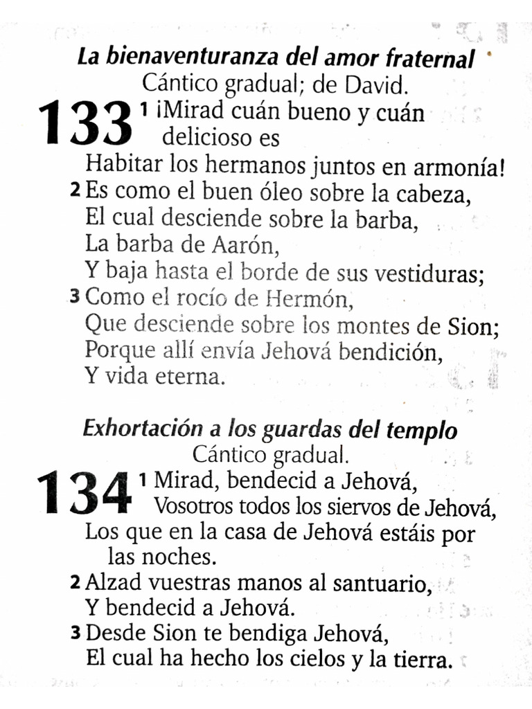 Image Result For Versculos Sobre El Amor Fraternal Textos Bblicos