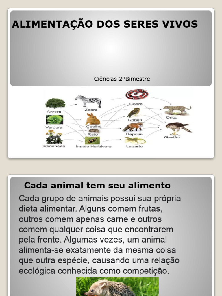 Alimentação dos Animais: Tipos e Exemplos | PDF | Herbívoro | Alimentos