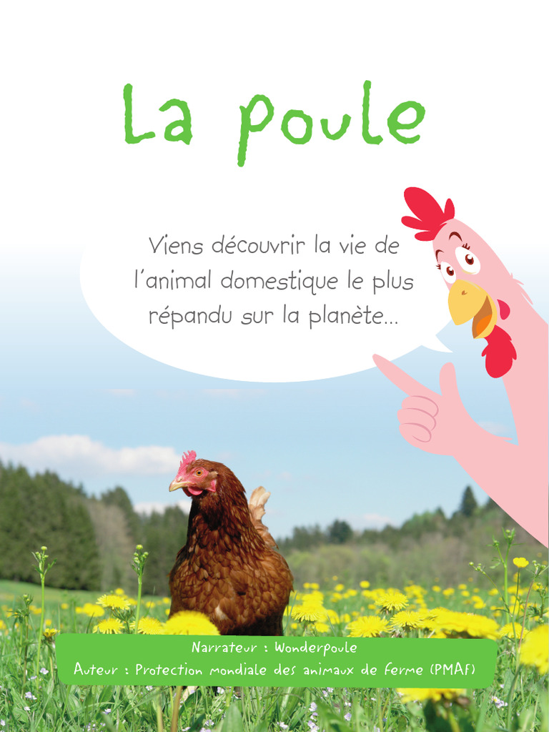 Vie et Origines de la Poule | PDF | Poulet | Oiseaux