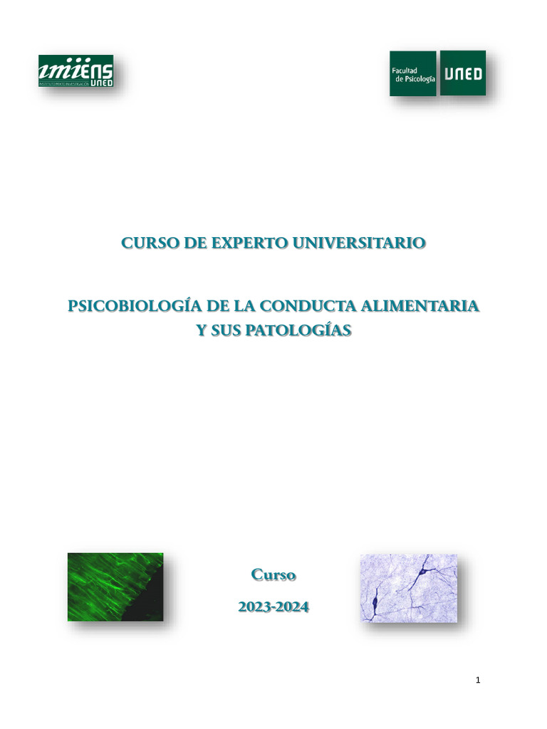 Tema12 Abordaje Psicoterapéutico De Los Tca Pdf Bulimia Nerviosa