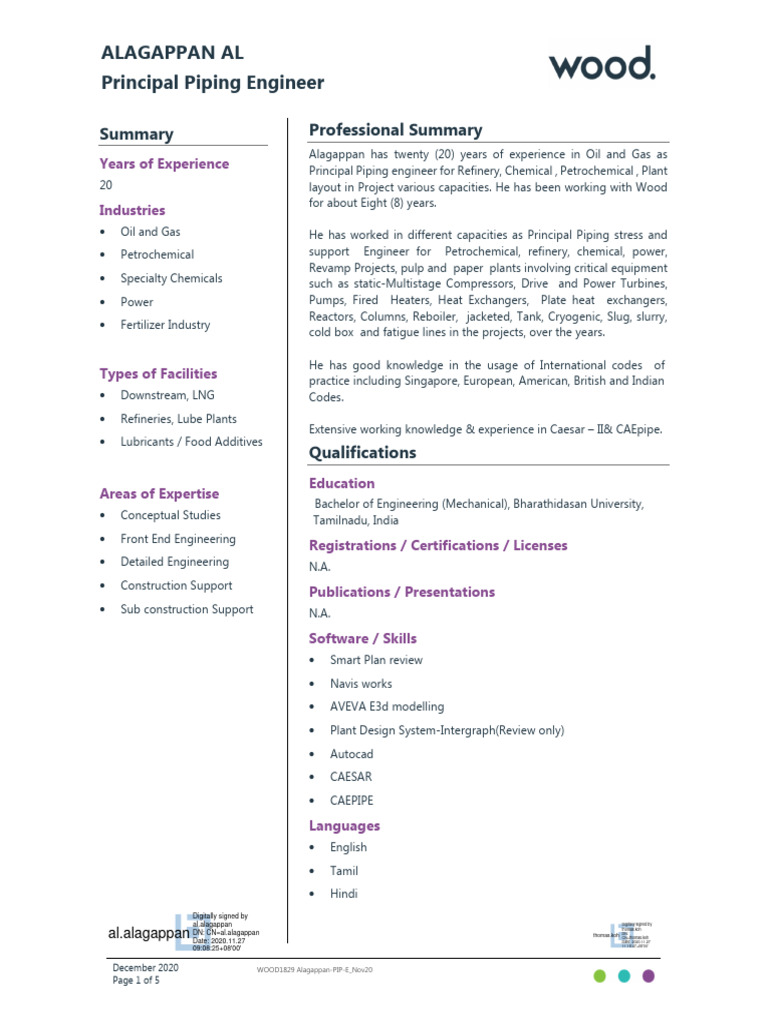 Principal Piping Engineer Overview | PDF | Pipe (Fluid Conveyance ...